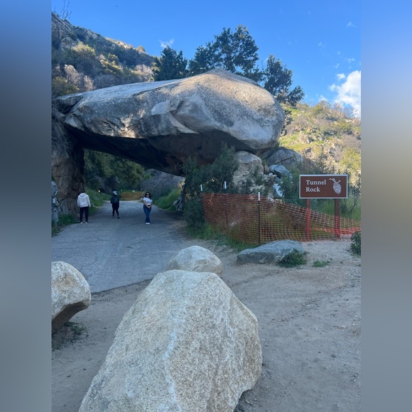 Meet your Posher, Maggie💕 - Picture 7 of 8